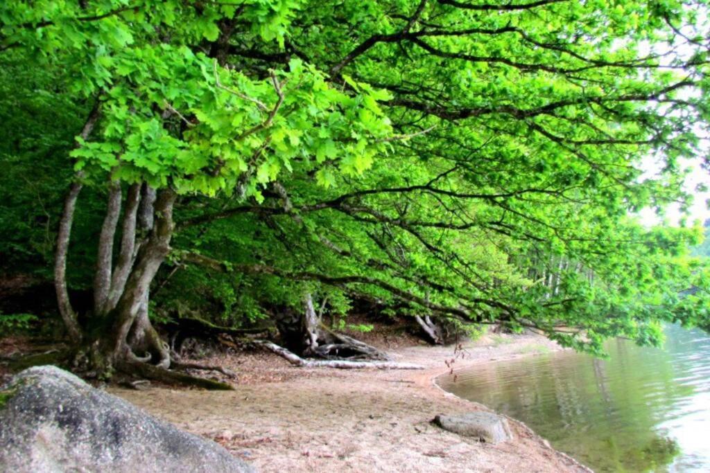 Maison De Vacances - Lac De Chaumecon - Morvan - La Meloise Saint-Martin-du-Puy  Zewnętrze zdjęcie